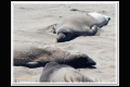 Impressionen 2 Monterey - Pismo Beach (18).jpg